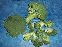 Broccoli