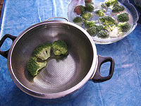 Broccoli