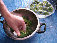 Broccoli
