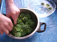 Broccoli