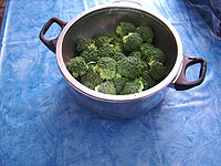 Broccoli