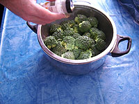 Broccoli