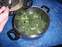 Broccoli