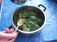 Broccoli