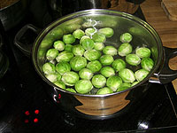 Rosenkohl