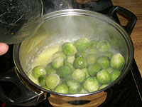Rosenkohl