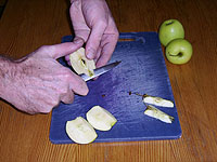 Rotkohl