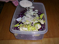 Rotkohl