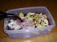 Rotkohl