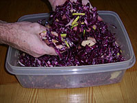 Rotkohl