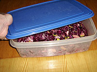Rotkohl