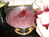 Rotkohl