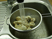 Pfeffer
