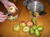 Pfeffer