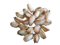 Kokosmakrönchen