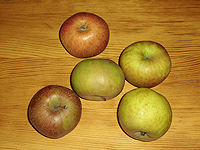Äpfel