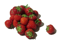 Erdbeeren