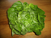 Kopfsalat