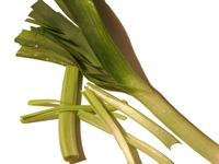 Lauch