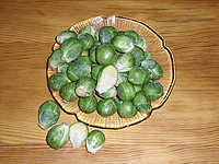 Rosenkohl