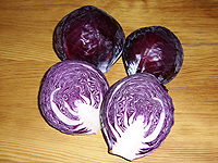 Rotkohl